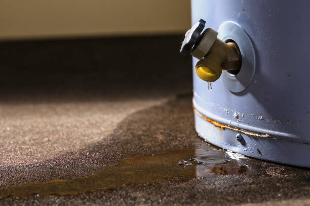 Kathleen, FL Water damage restoration Company
