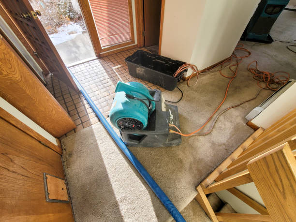 Sewage cleanup and water damage restoration in Kathleen, FL