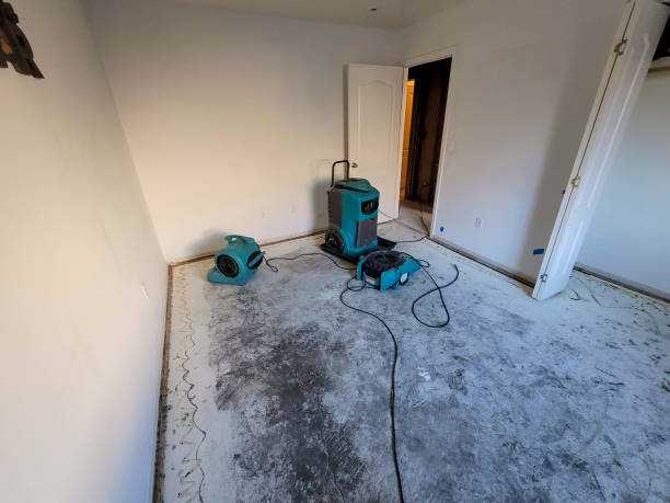 Best Mold removal after water damage  in Kathleen, FL