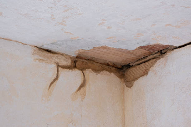 Best Sewage cleanup and water damage restoration  in Kathleen, FL
