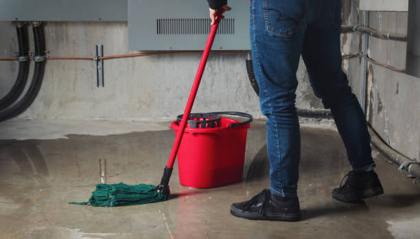Best Water damage restoration experts  in Kathleen, FL