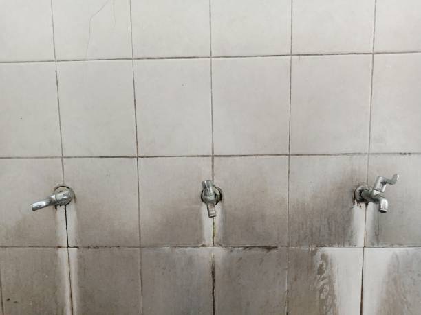 Best Water damage restoration insurance claims  in Kathleen, FL