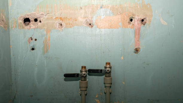 Best Water damage restoration specialists  in Kathleen, FL
