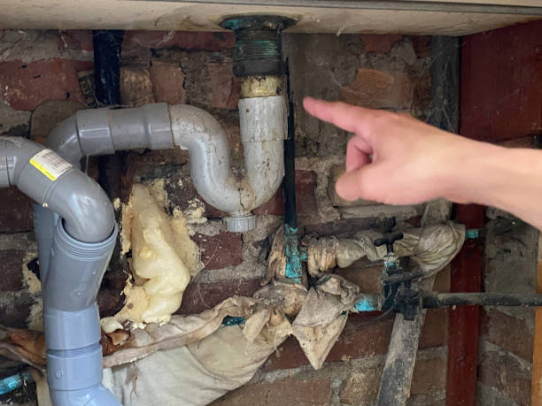 Best Water damage restoration services  in Kathleen, FL