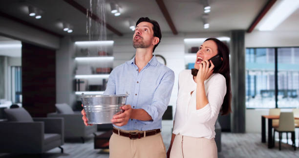 Best Water damage cleanup near me  in Kathleen, FL