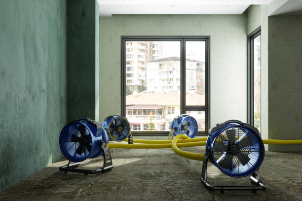 Best Basement water damage restoration  in Kathleen, FL