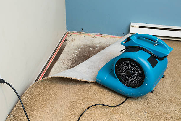 24/7 water damage repair in Kathleen, FL